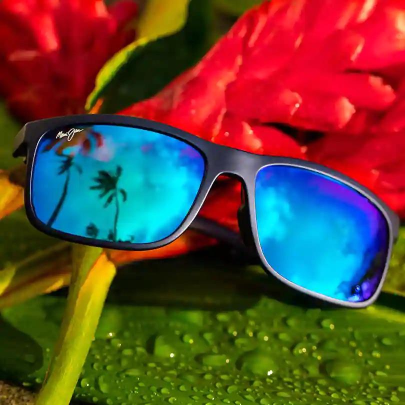 maui jim