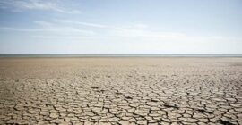 Dry desert landscape