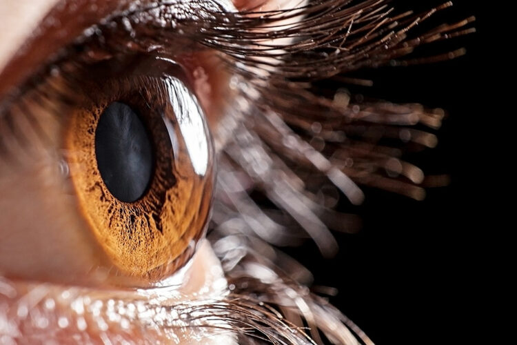 Closeup of a brown eye